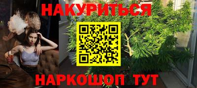 стаф Кимры