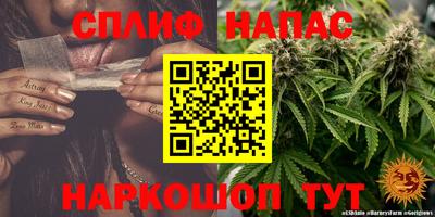 гашик Коммунар
