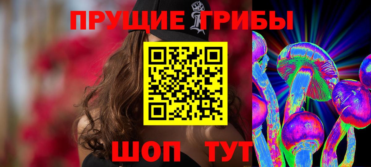 Галлюциногенные грибы Psilocybine cubensis Шебекино