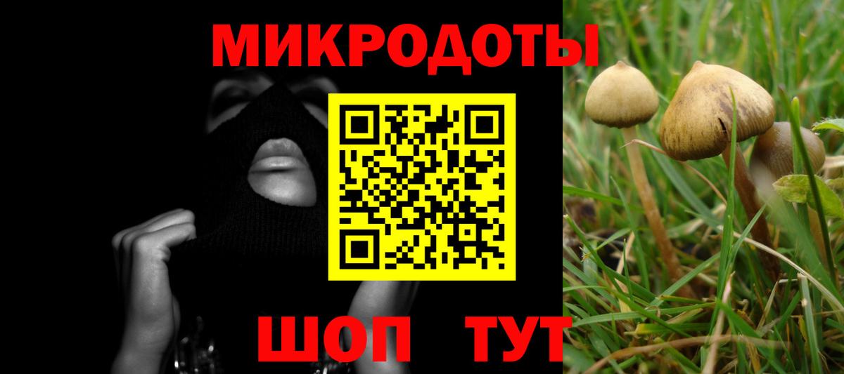 Шебекино  Псилоцибиновые грибы MAGIC MUSHROOMS  Вход с VPN 